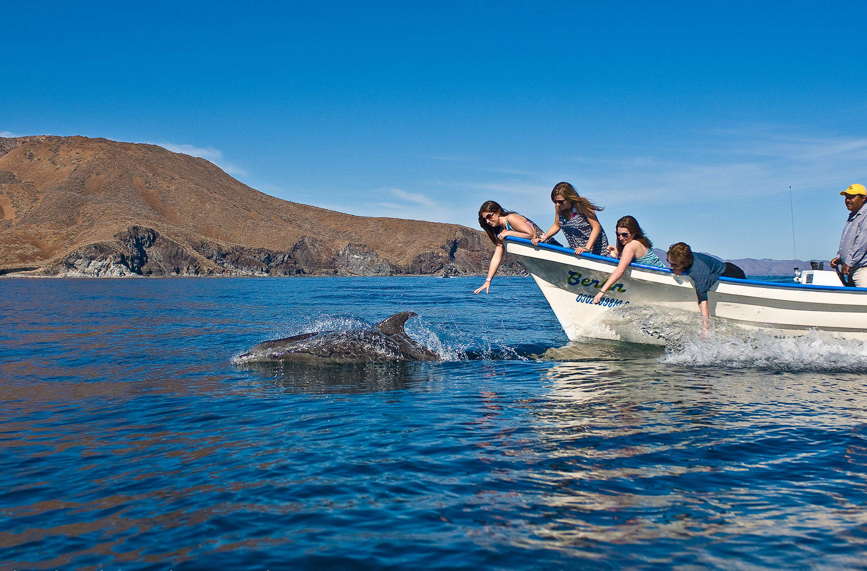 Delfines