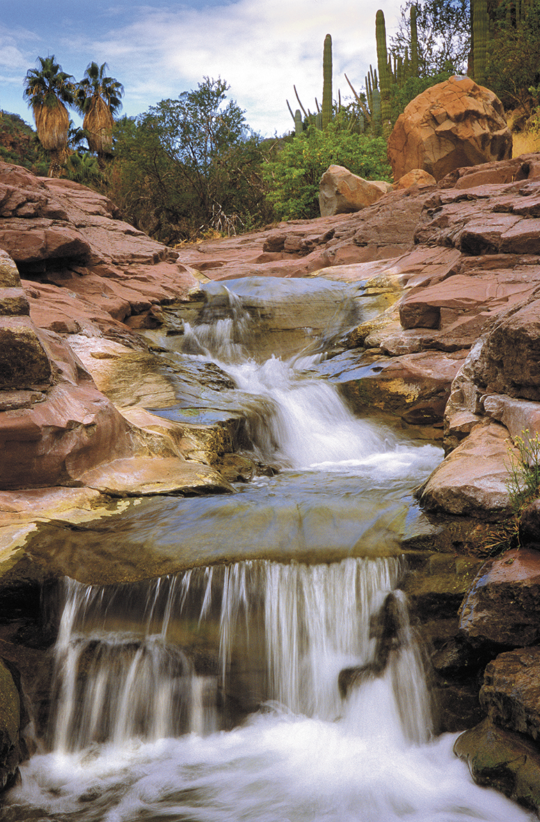 Cañon las parras, Loreto