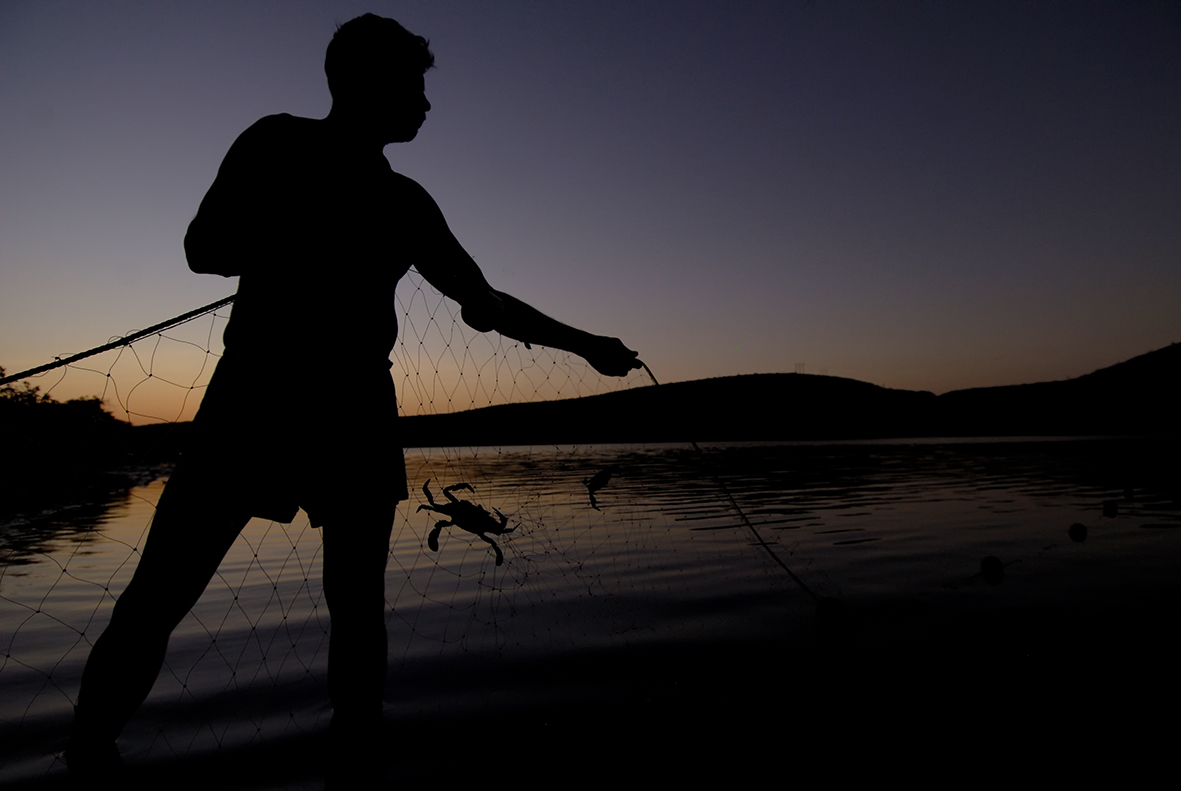 Cray fish fisher, Balandra mangroves