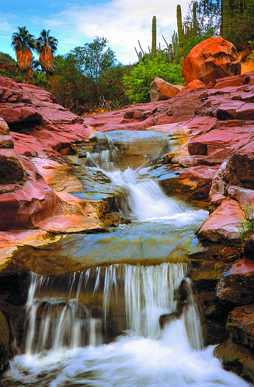 Oasis-cañon Las Parras-Sierra La Giganta