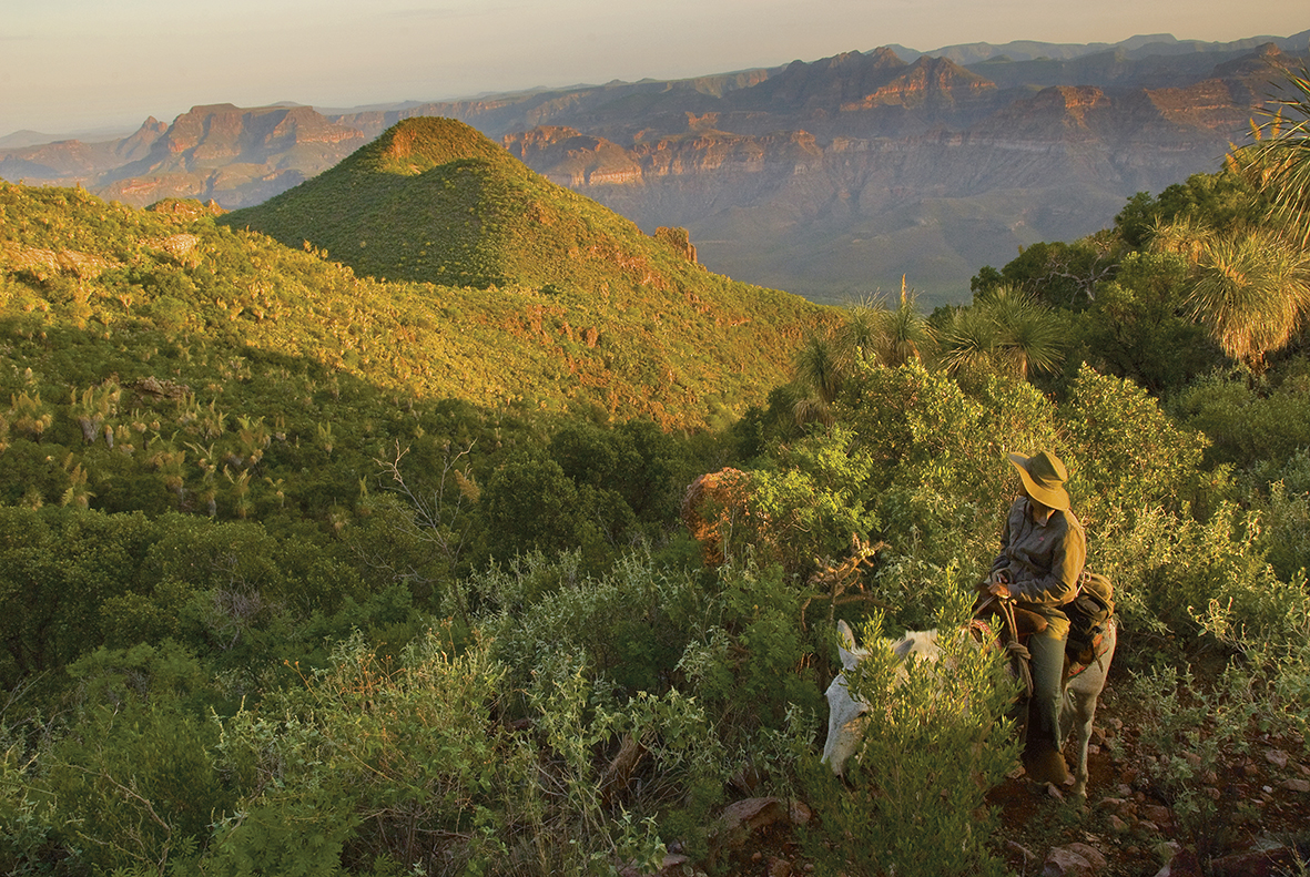 Techumbres de Sierra de Guadalupe